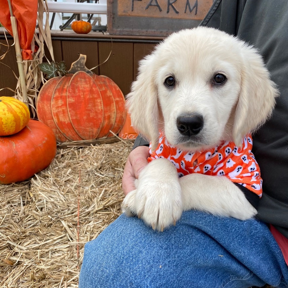 Meet your Posher, Kelly